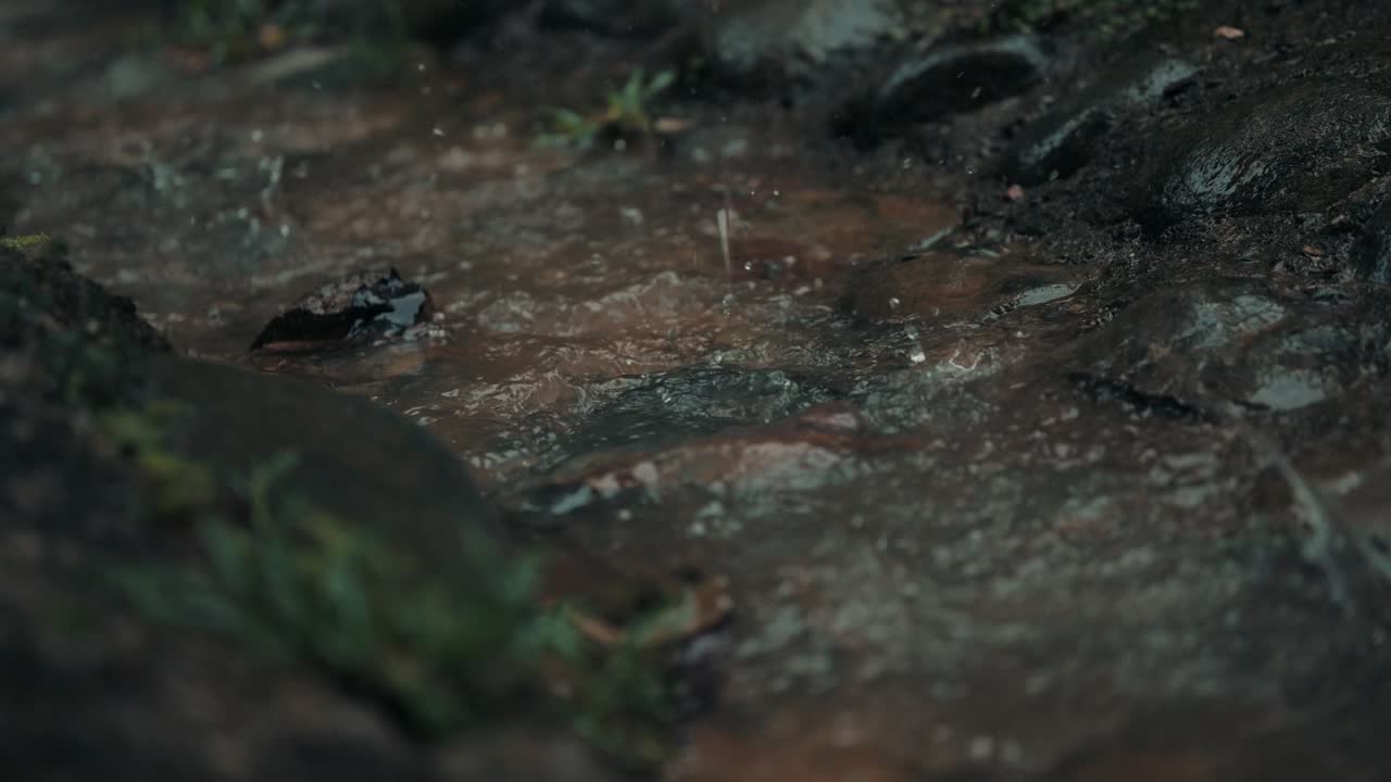 Rain Water Flows And Splashing On The Rocks On Rainy Day In Forest Near Costa Rica