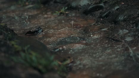 el agua de lluvia fluye y salpica en las rocas en un día lluvioso en el bosque cerca de costa rica