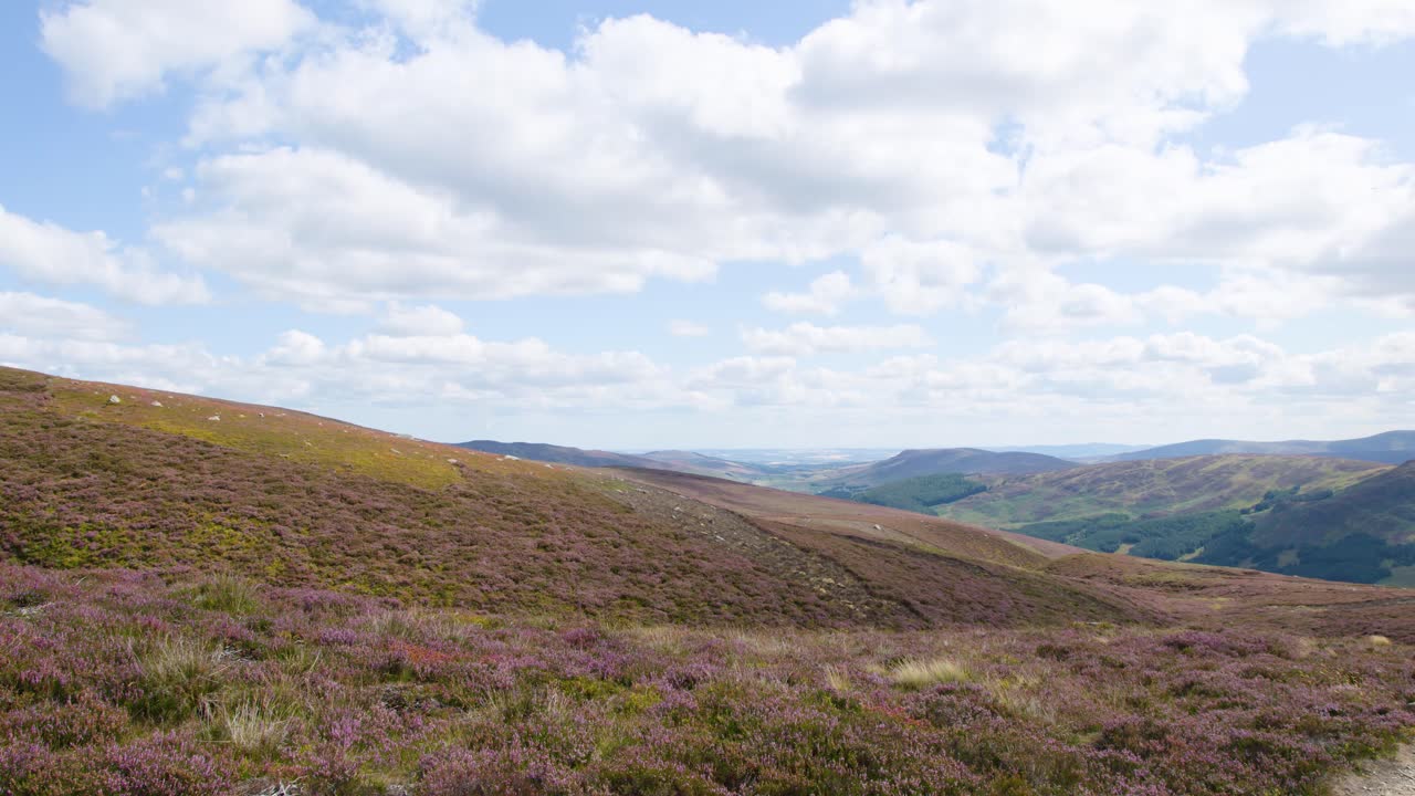 Camera pans right over sunlit heather moorland, revealing rolling hills under partly cloudy sky