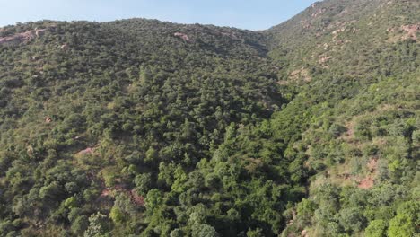 Epic-drone-uphill-flyover-beautiful-forest-in-indian-mountains-against-blue-sky-in-background