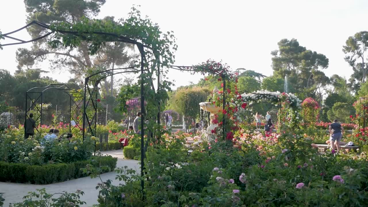 Beautiful Rose Garden in a Park with People