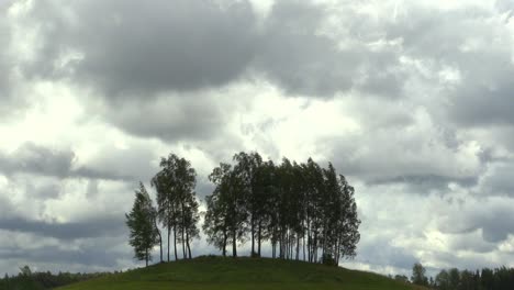 árboles en una colina y timelapse de día nublado