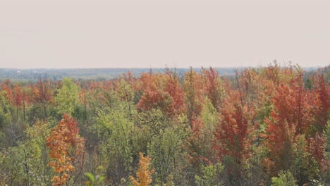 Colorful-Autumn-Foliage-Landscape-Against-Sunny-Sky-At-Cheltenham-Badlands-In-Caledon,-Ontario-Canada