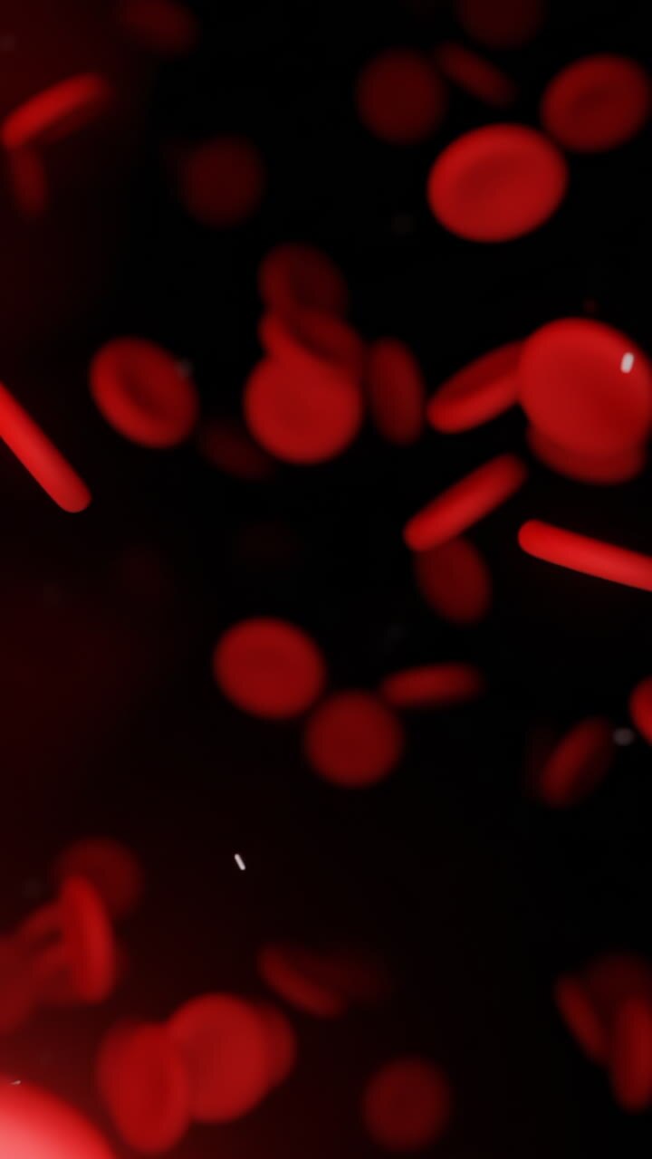 3D rendering di cellule del sangue e batteri in un'arteria