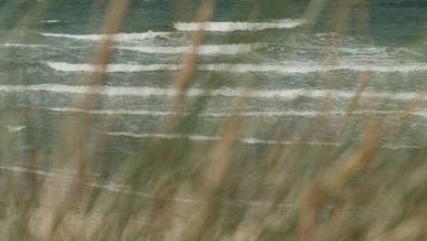 Looking-at-waving-sea-through-blurry-grass-swaying-in-wind