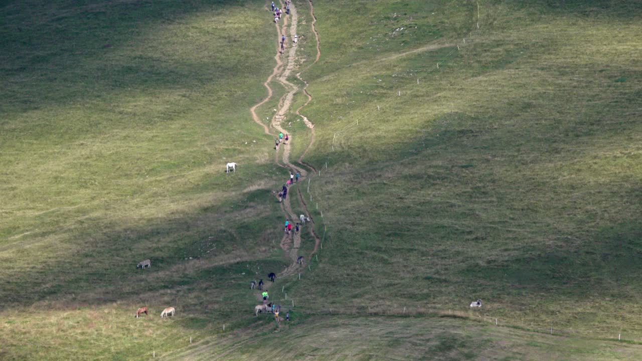 A busy hiking trail that leads uo Mount weisshorn in South Tyrol, Italy