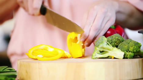 preparación de la comida