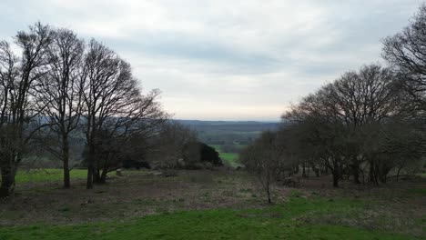 Twilight-Majesty:-Aerial-View-of-Surrey-Hills-Through-the-Trees