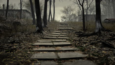 Viejos-Garajes-Abandonados-En-El-Bosque