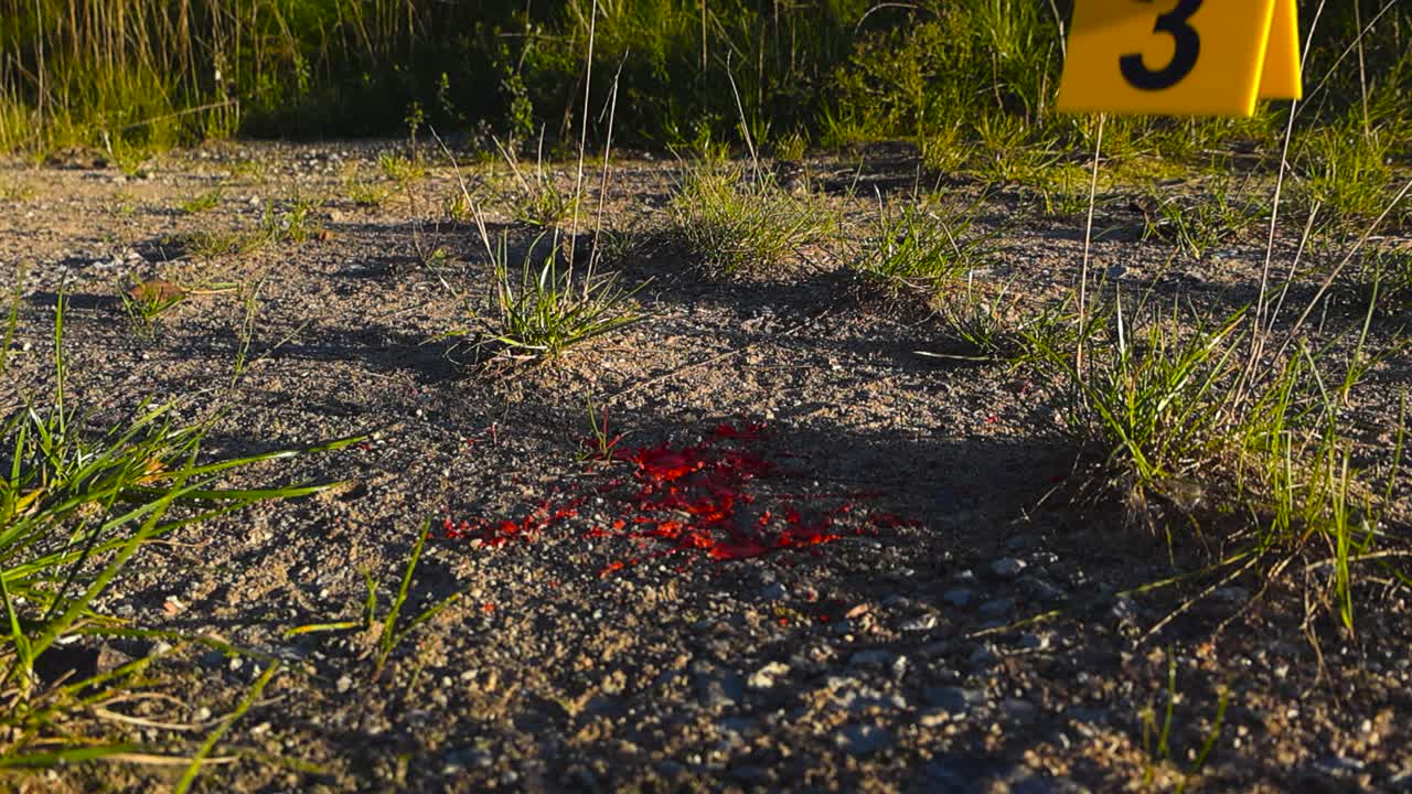 Slow motion video of blood falling on dirt ground and a yellow police crime scene marker being placed next to it by a forensic investigator diverse hand. Shallow depth of field, grassy, sunny day