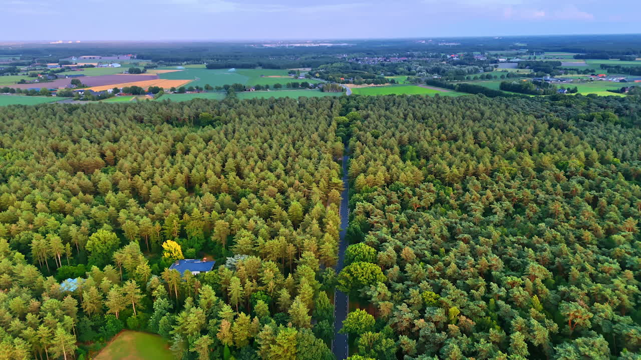 Scenic view of a lush forest landscape. Expansive greenery stretches across the horizon, intertwining pine trees and farmland under a soft, evening light
