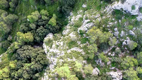 Trees-and-shrubs-between-the-pointed-rocks-of-a-mountain-massif,-drone-shot