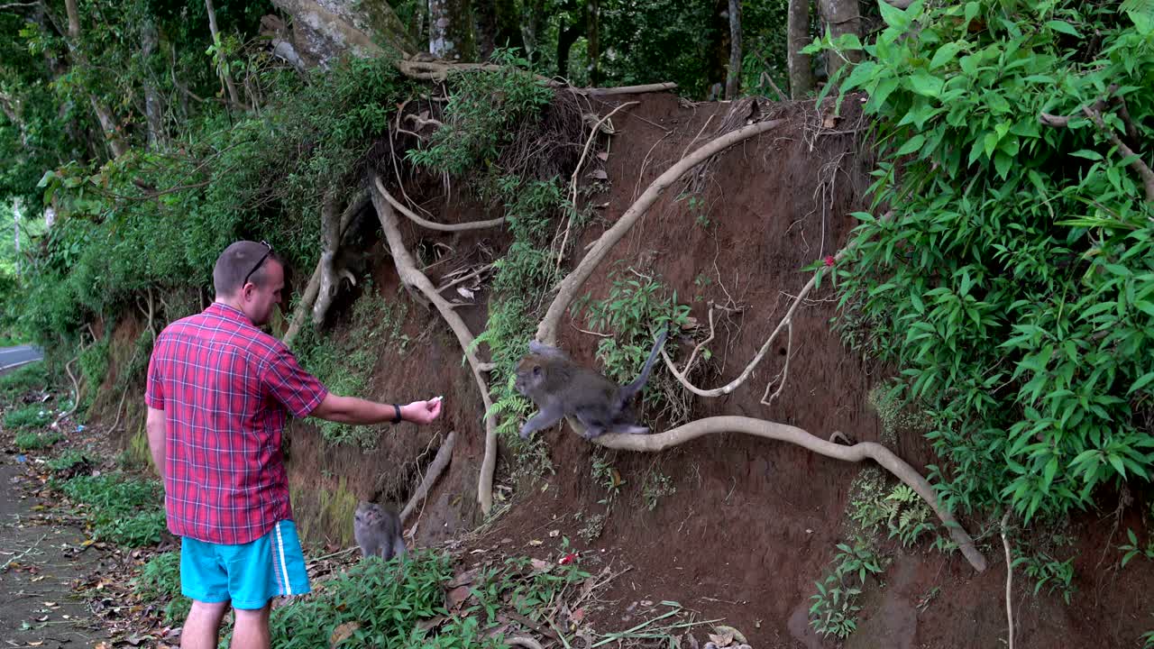 원이들에게 과일을 먹이는 사람