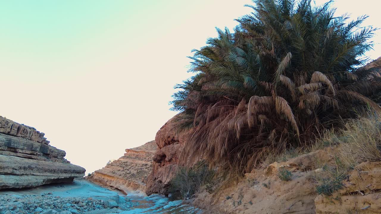 a river in the middle of the sahara desert Algeria Biskra