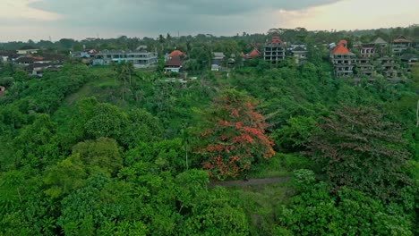 Aerial-view-of-lush-greenery-with-tropical-vegetation-and-residential-buildings-nestled-among-the-trees,-captured-with-a-drone