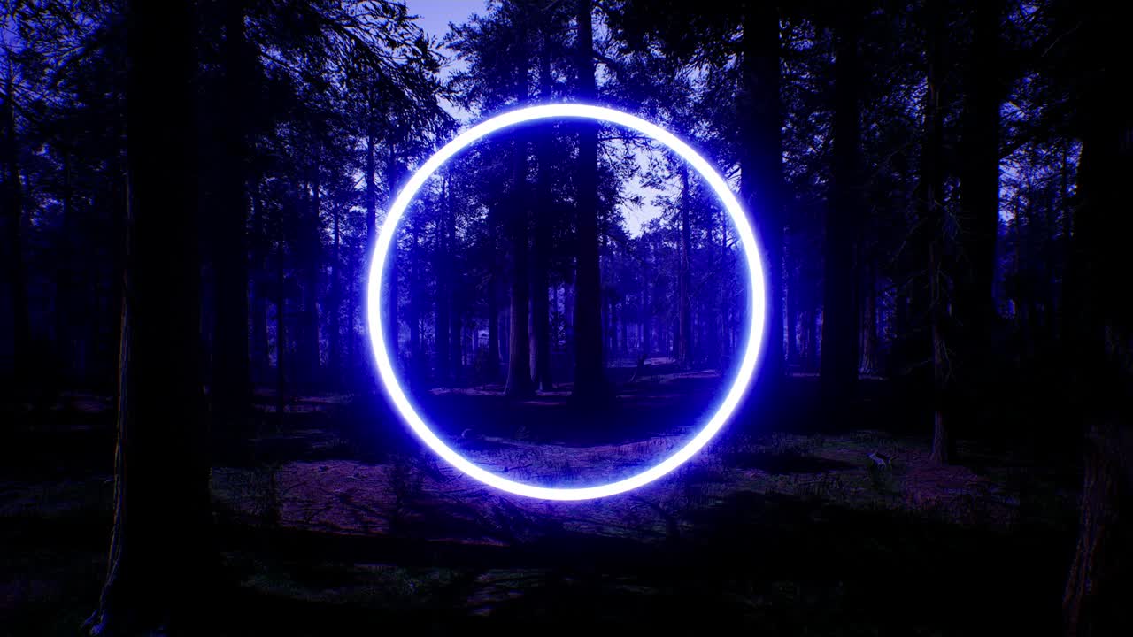 светящийся голубой круглый свет в ночном лесу