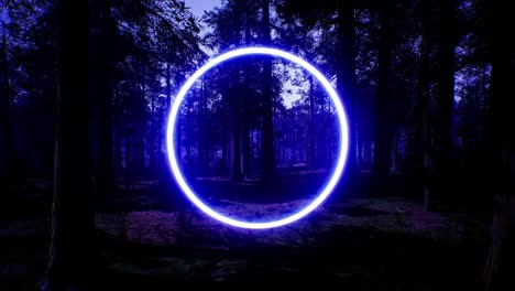luz de círculo azul brillante en el bosque nocturno