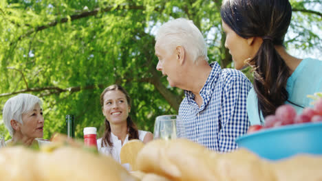 Family-interacting-with-each-other-while-having-meal-in-the-park