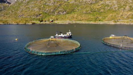 aerial footage farm salmon fishing in norway