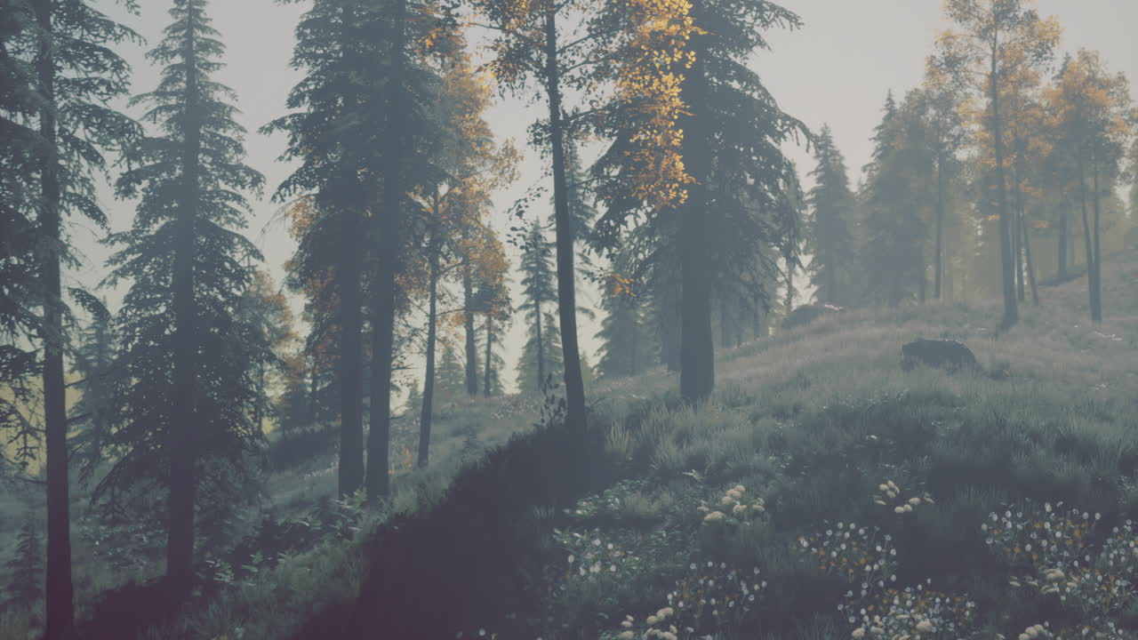 Lush forest landscape with vibrant foliage at dawn in a serene natural setting