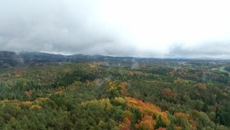 foggy landscape with colorful trees in autumn - aerial drone shot