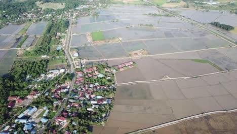 aerial overhead shot of rural malays kampung village near paddy field at penang.