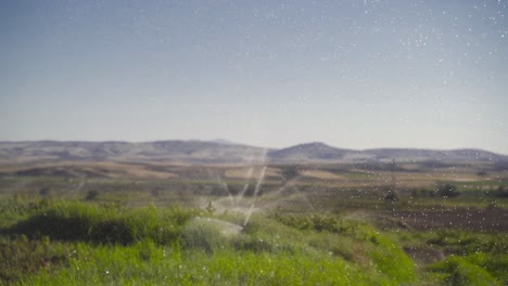 sistema de riego con rociadores en el campo en cámara lenta.