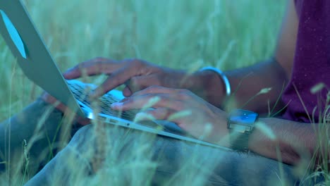 primer plano, las manos de un padre indio sentado en la hierba escribiendo texto en el teclado de la computadora portátil