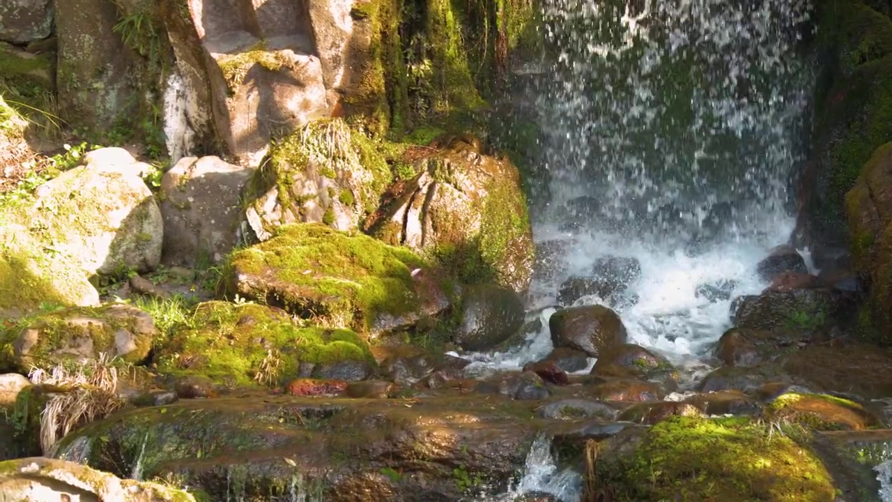 Sunlight illuminates water flowing over green mossy rocks in a peaceful Japanese nature park.