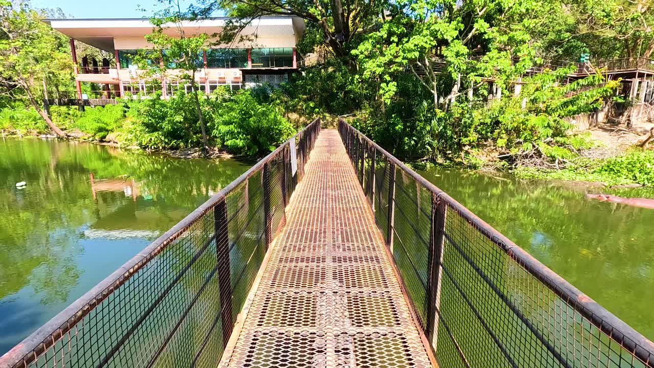 울창한 숲에서 다리를 건너고