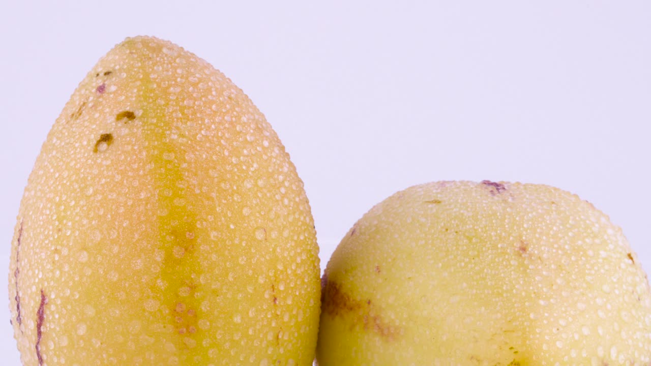 macro disparo de la parte superior de dos frutos de pepino amarillo maduro con gotas de agua. girando lentamente en la mesa giratoria aislada en el fondo blanco. primer plano.