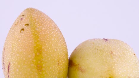 macro shooting of upper part of two mature yellow pepino fruits with water drops. slowly rotating on the turntable isolated on the white background. closeup.