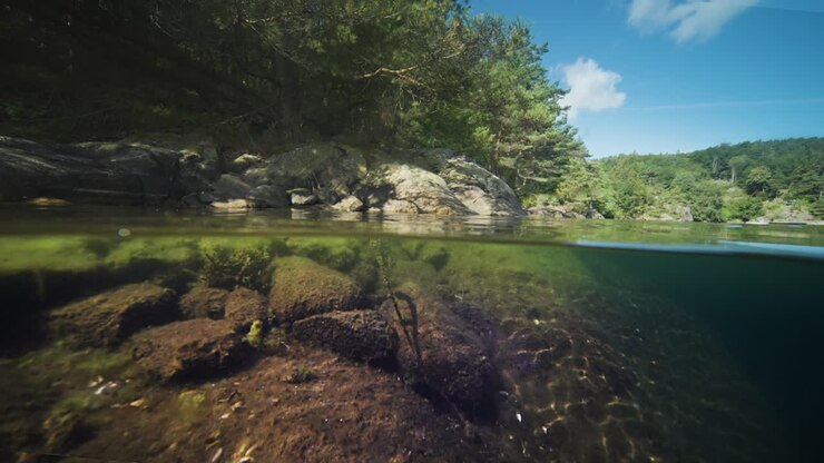 Fiordo con vista divisa tra sopra e sotto l'acqua.