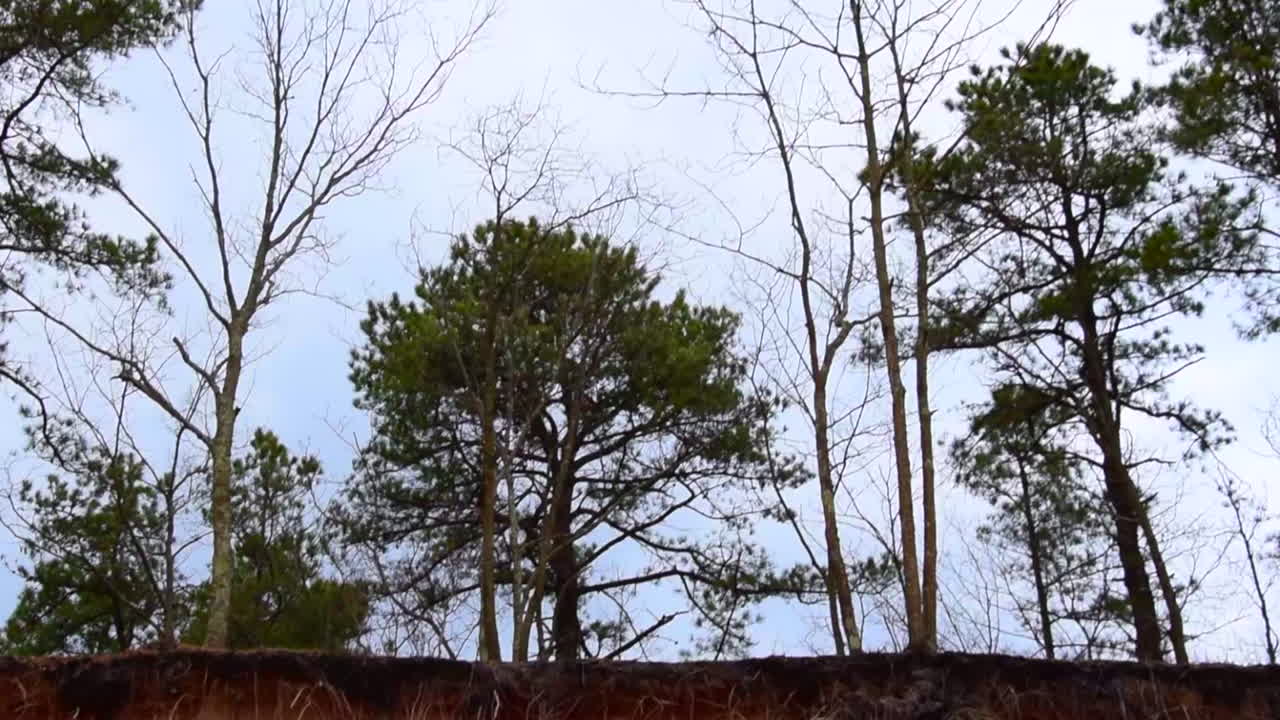 Perspective of being inside a ditch