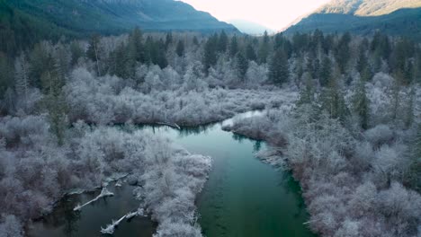 Antenne-Des-Frostigen-Waldes-Um-Einen-Fluss-Herum,-Der-Sich-Nach-Unten-Bewegt