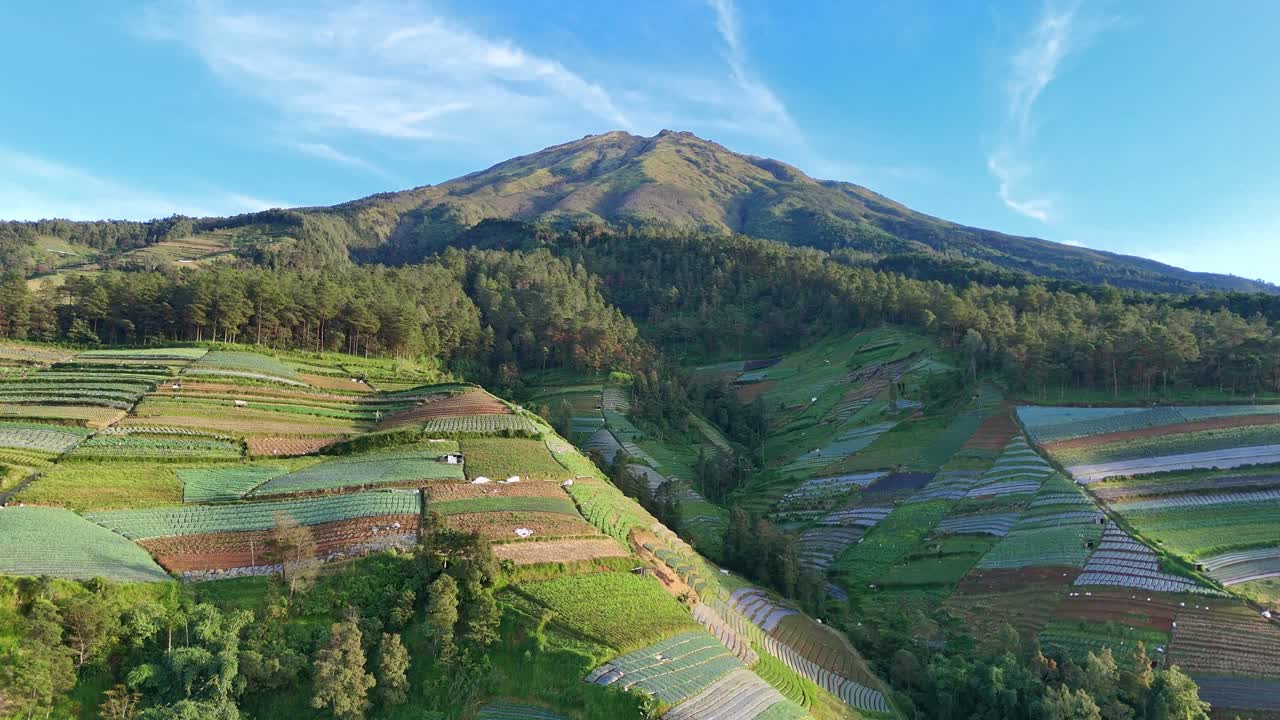 Beautiful aerial view of rural farming terraces and woodlands stretching toward a majestic peak of tropical mountain. Mount Sumbing, Indonesia