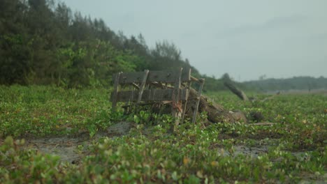 Alter-Holzkarren,-Verlassen-Auf-Einem-üppigen-Grünen-Feld,-Im-Hintergrund-Bewölkter-Himmel,-Ruft-Ein-Gefühl-Der-Einsamkeit-Hervor