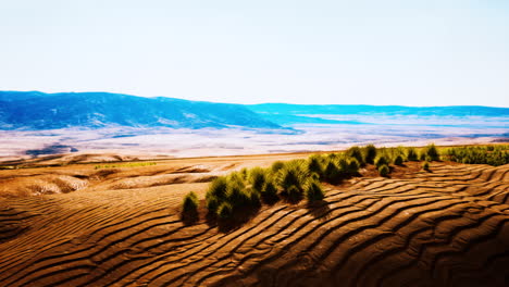 Desierto-Pedregoso-En-El-Interior-De-Australia