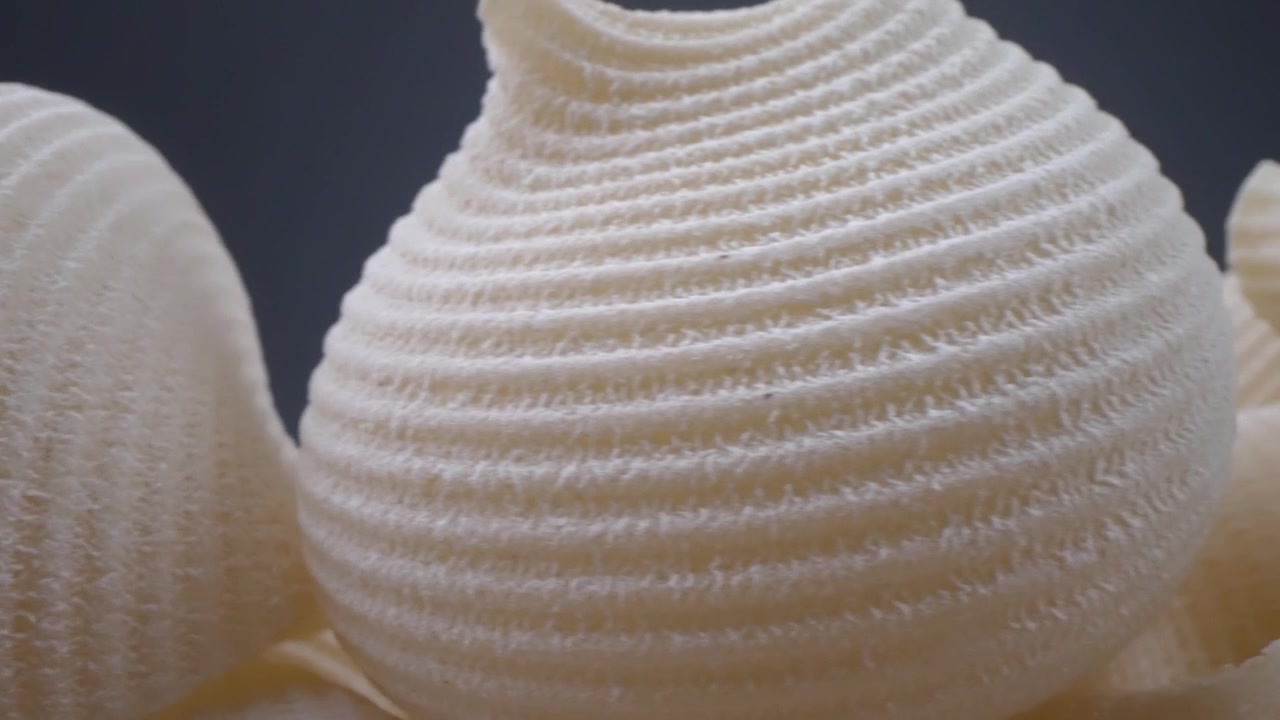 Detailed Macro View of Uncooked Conchiglie Pasta Shells