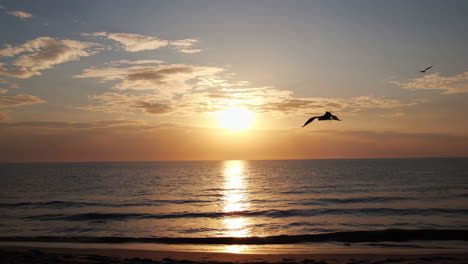 amanecer sobre el océano en la playa