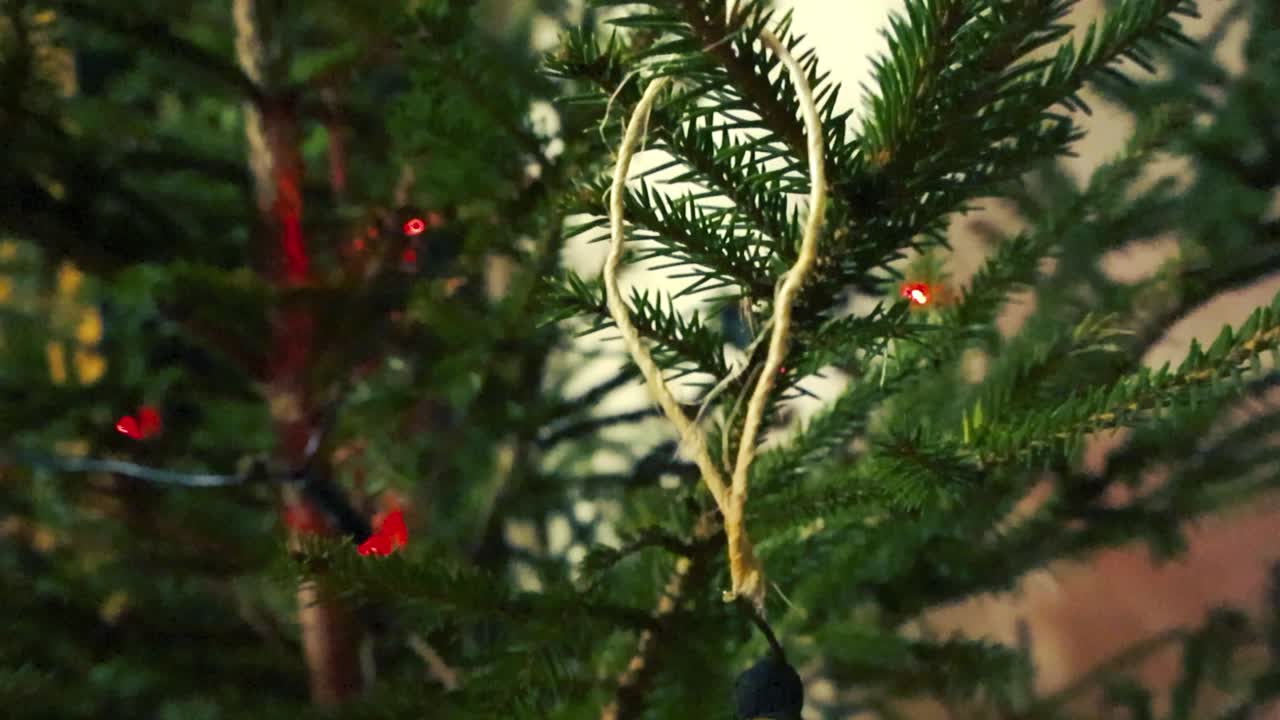 close up o closeup imágenes de bellotas amarillas doradas y otras decoraciones navideñas en un árbol de navidad verde de vacaciones festivas en el interior. luces led son visibles en el fondo borroso, la cámara se eleva.
