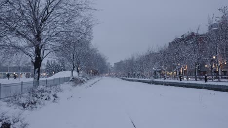 snow covered railroad tracks on empty road