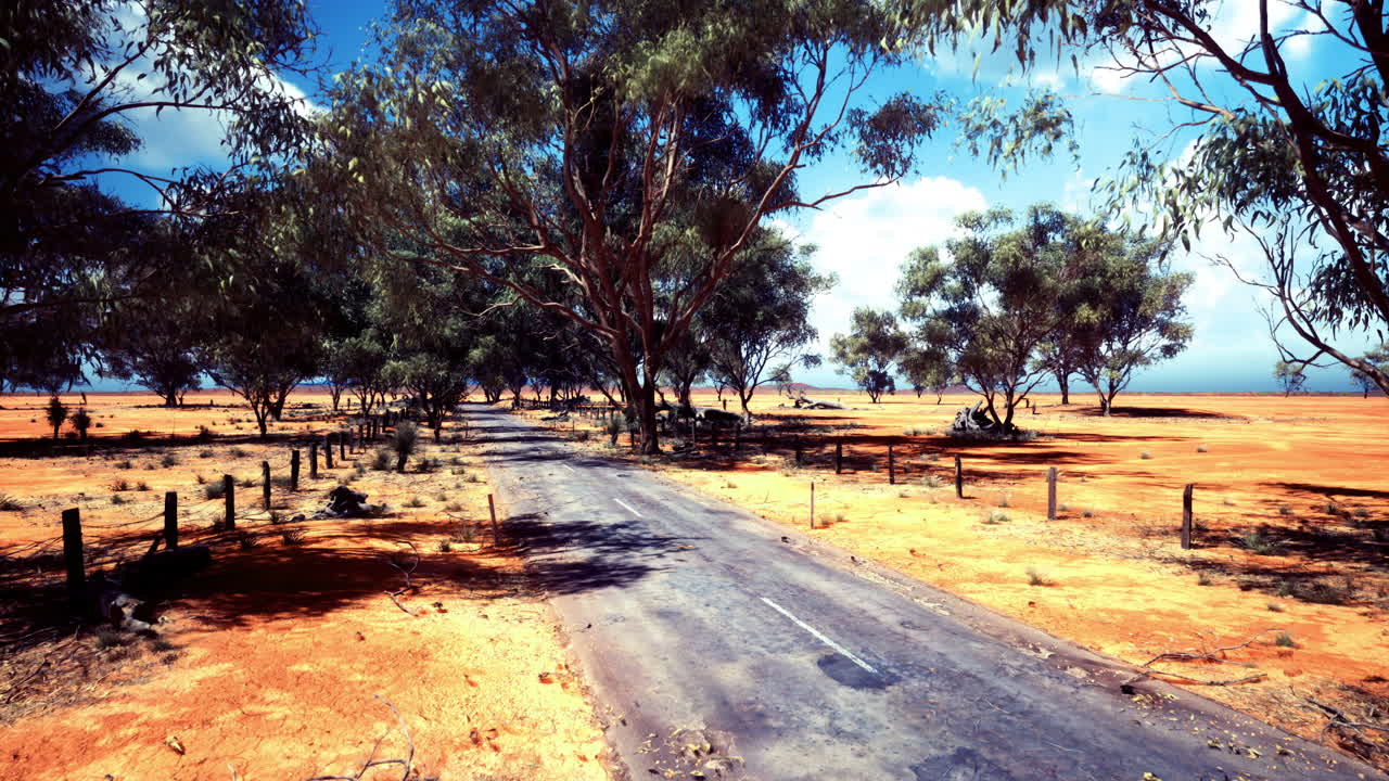 Vast australian landscape featuring a deserted road surrounded by trees