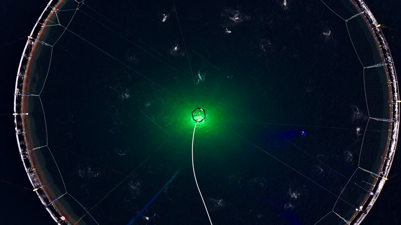 Circular aquaculture net glowing with green underwater light in dark ocean water during polar night in Tromso, Norway. Aerial top-down view