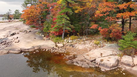 Luftaufnahme-Des-Ufers-Eines-Stillen-Sees,-Umgeben-Von-Herbstfarbenem-Wald