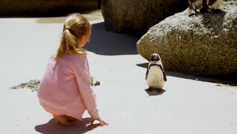 Niña-Jugando-Con-Un-Pingüino-Joven-En-La-Playa-4k