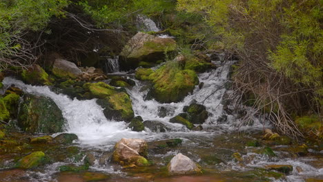 waterfall cascading on rocks and boulders in forest - slow motion