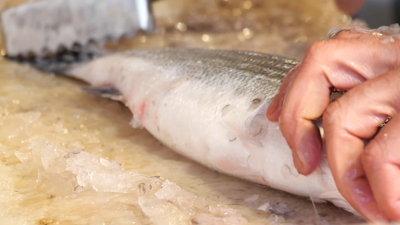 Close-up of a person scaling fish on ice
