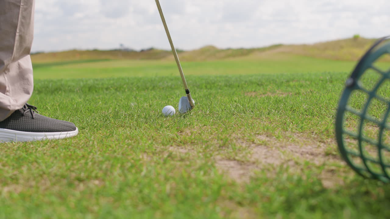 잔디에 있는 바구니에 골프공을 넣습니다.