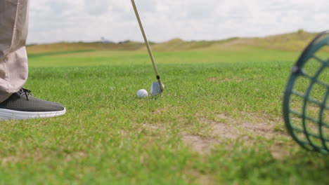 bolas de golf en una canasta en el césped.